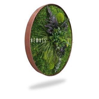 Machový obraz kruh Rastliny R3